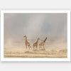 It's a Giraffe's world Unframed Art Print