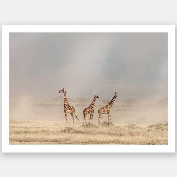 It's a Giraffe's world Unframed Art Print