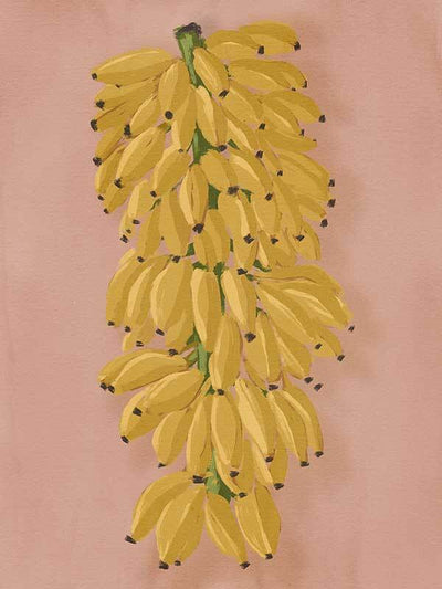 Platano I Pink Canvas Art Print