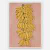 Platano I Pink Unframed Art Print