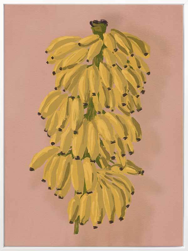 Platano II Pink Canvas Art Print