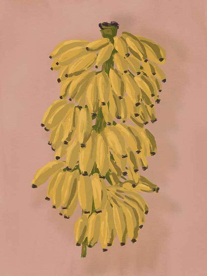 Platano II Pink Canvas Art Print