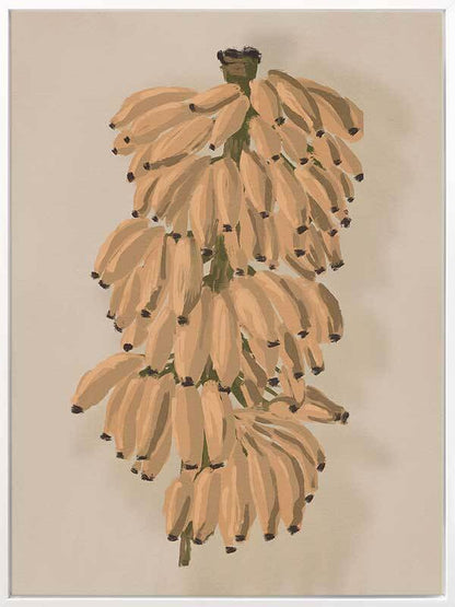 Platano II Clay Canvas Art Print