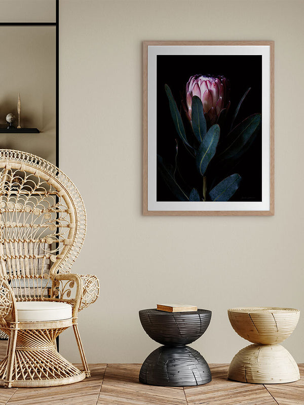 Protea Portrait Framed Art Print | Lifestyle
