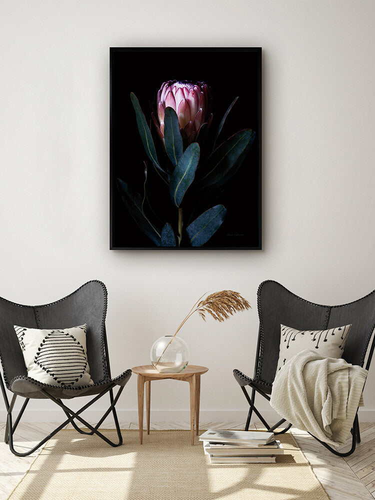 Protea Portrait Canvas Art Print | Lifestyle