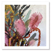 Blooming Bottle Brush Unframed Art Print