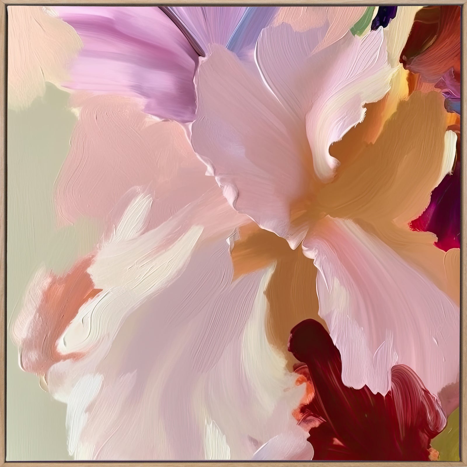 Blushing Gordonia II Canvas Art Print