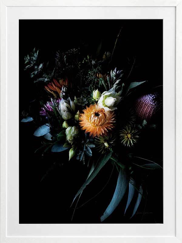 Native Collection Framed Art Print