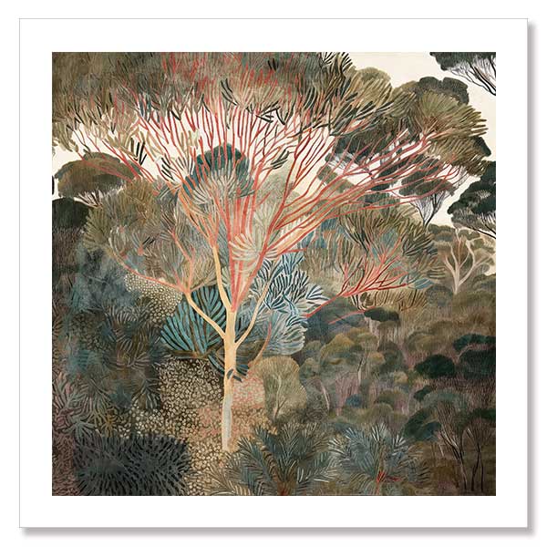 Outback Canopy I Unframed Art Print