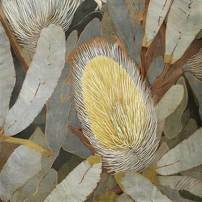 Wild Bottlebrush I Canvas Art Print