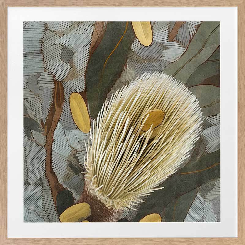 Wild Bottlebrush ll Framed Art Print