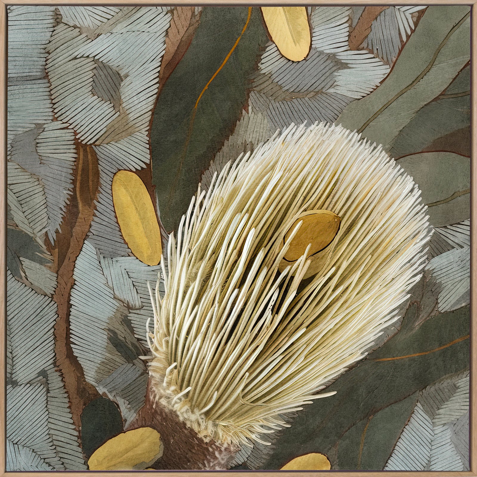 Wild Bottlebrush II Canvas Art Print