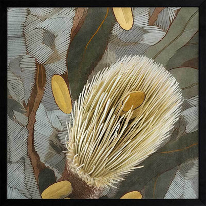 Wild Bottlebrush ll Framed Art Print