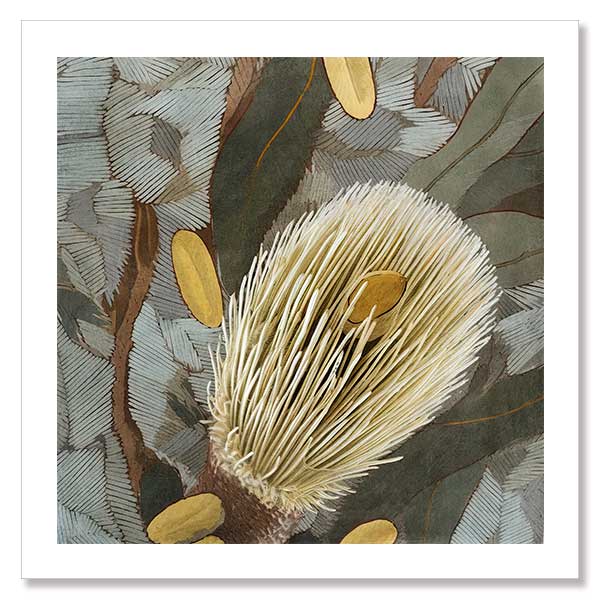 Wild Bottlebrush ll Unframed Art Print