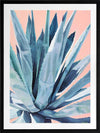 Agave Framed Art Print