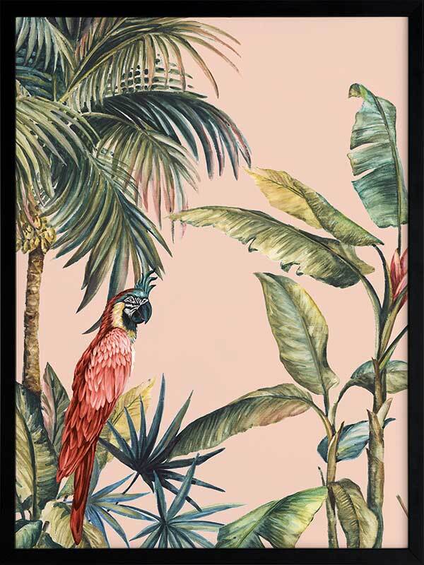 Tropicano II Framed Art Print