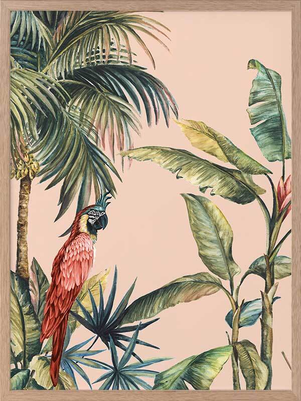 Tropicano II Framed Art Print