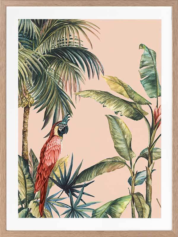 Tropicano II Framed Art Print