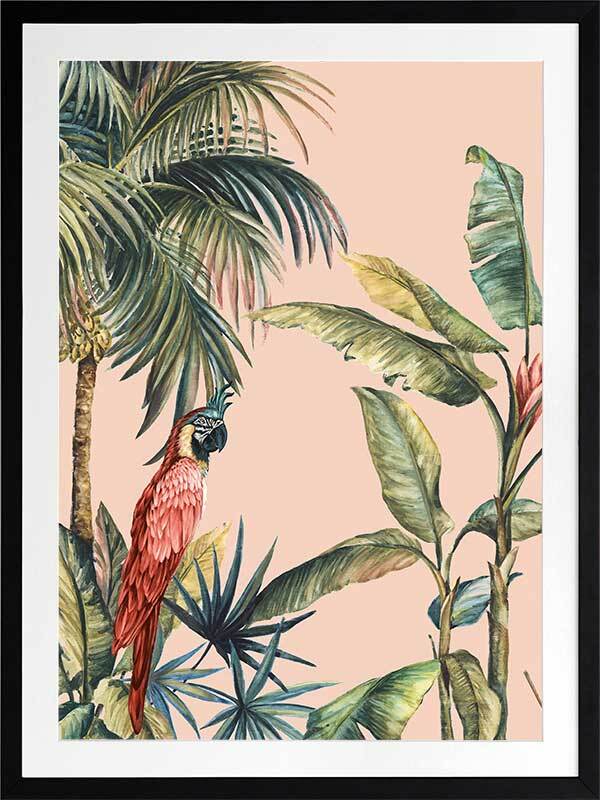 Tropicano II Framed Art Print