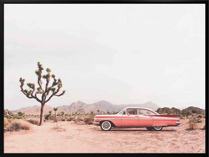 Desert Cadillac Canvas Art Print