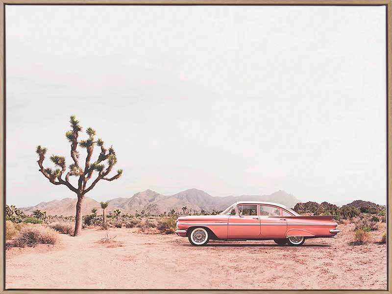 Desert Cadillac Canvas Art Print