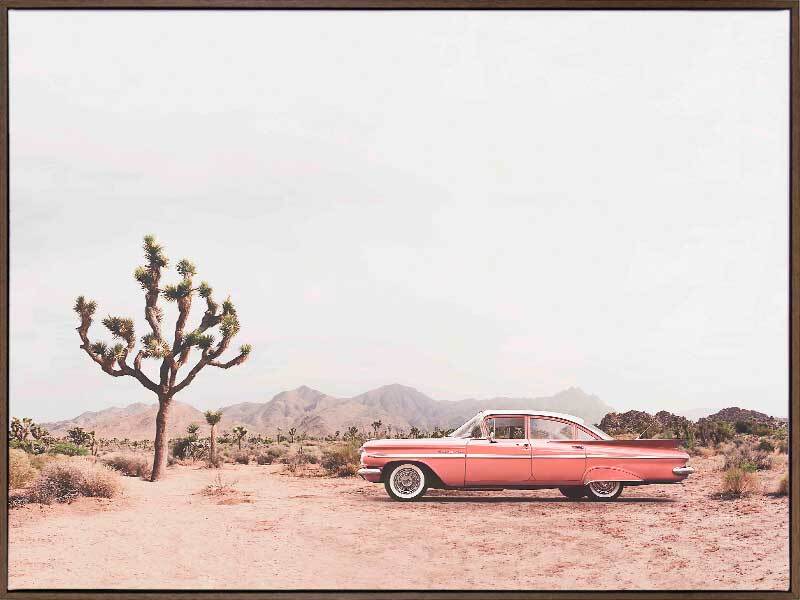 Desert Cadillac Canvas Art Print