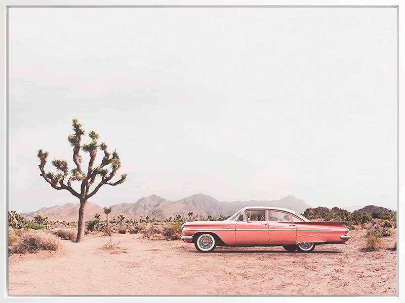 Desert Cadillac Canvas Art Print