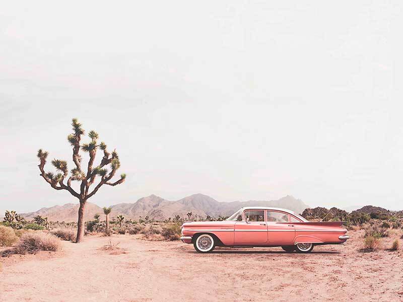 Desert Cadillac Canvas Art Print