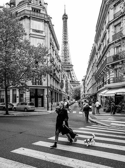 La Tour Eiffel Canvas Art Print