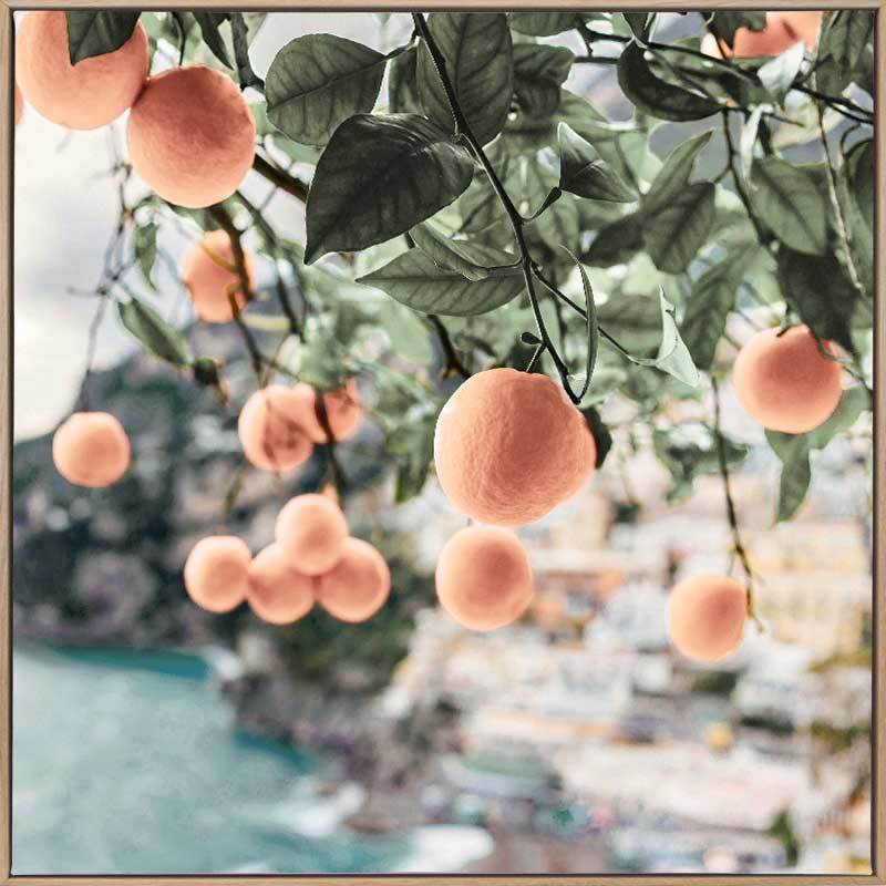 Peachy Dreams Canvas Art Print