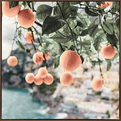 Peachy Dreams Canvas Art Print