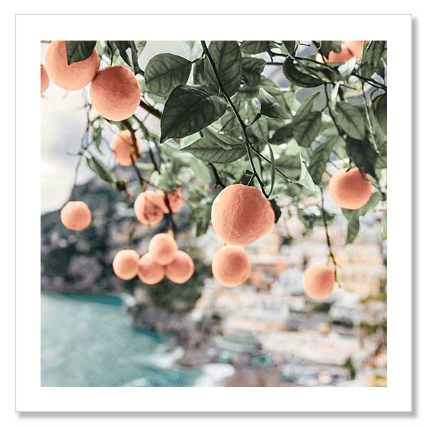 Peachy Dreams Unframed Art Print