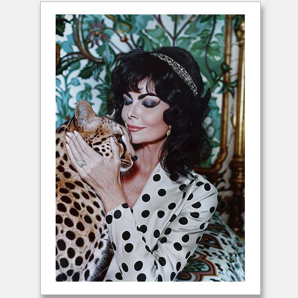 Woman's Best Friend Unframed Art Print