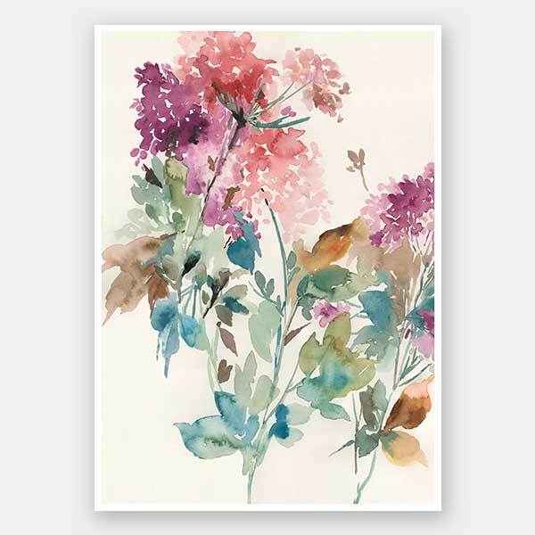 Sweet Hydrangea I Unframed Art Print