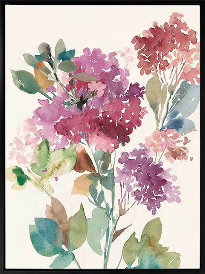 Sweet Hydrangea II Canvas Art Print