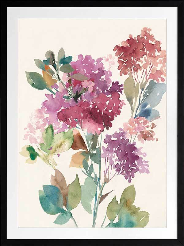 Sweet Hydrangea II Framed Art Print