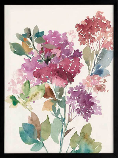 Sweet Hydrangea II Framed Art Print