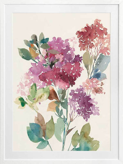 Sweet Hydrangea II Framed Art Print