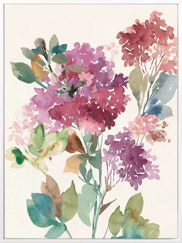 Sweet Hydrangea II Canvas Art Print