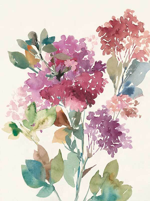 Sweet Hydrangea II Canvas Art Print