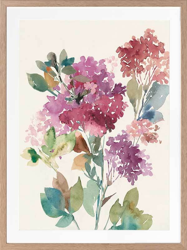 Sweet Hydrangea II Framed Art Print