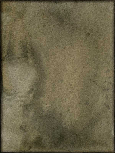 Mossy Memory Canvas Art Print