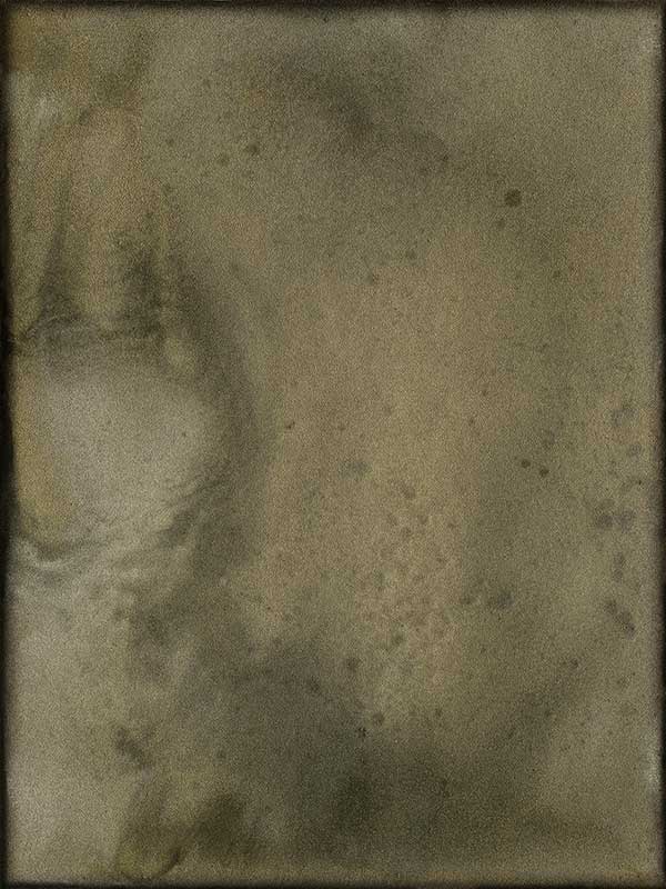 Mossy Memory Canvas Art Print