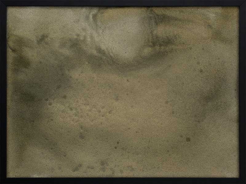 Mossy Memory Framed Art Print