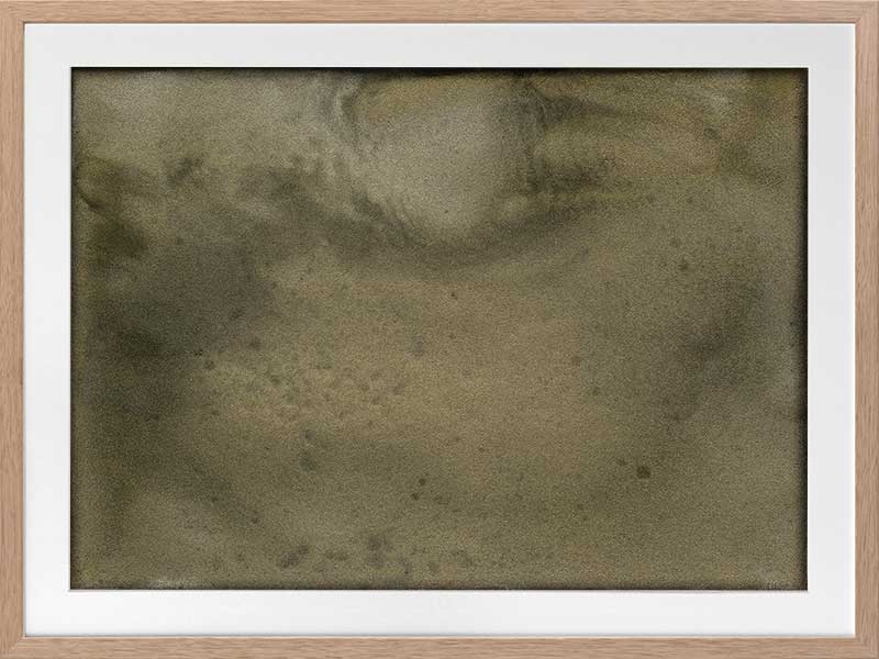 Mossy Memory Framed Art Print