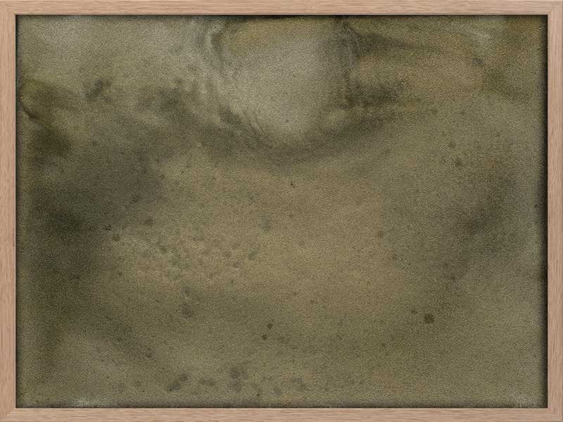 Mossy Memory Framed Art Print