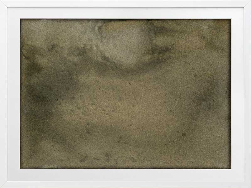 Mossy Memory Framed Art Print