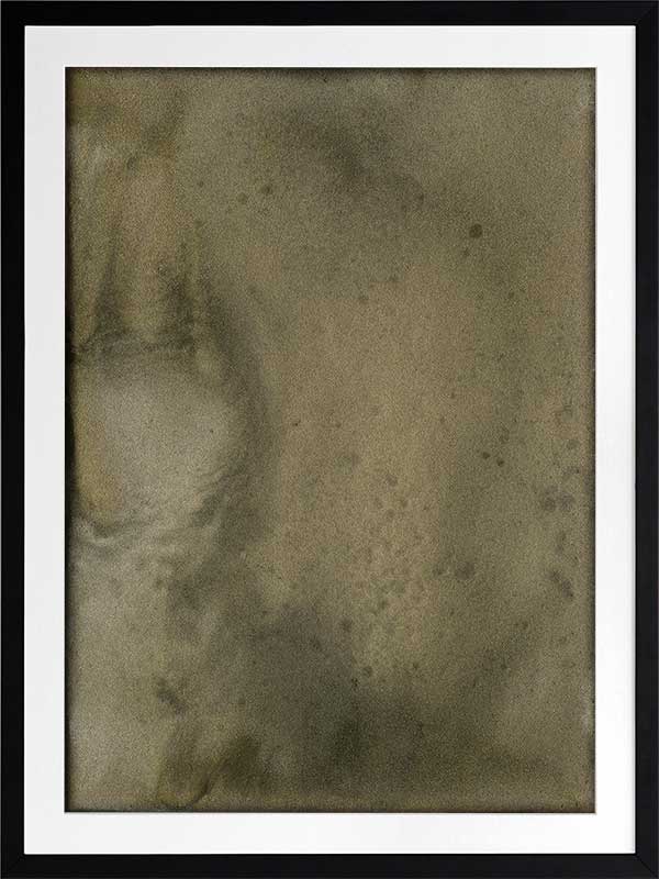 Mossy Memory Framed Art Print