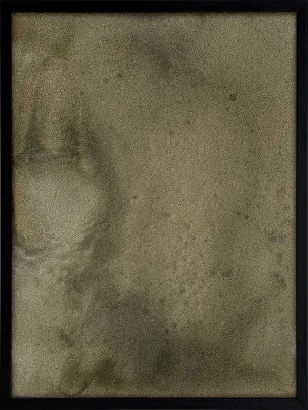 Mossy Memory Framed Art Print