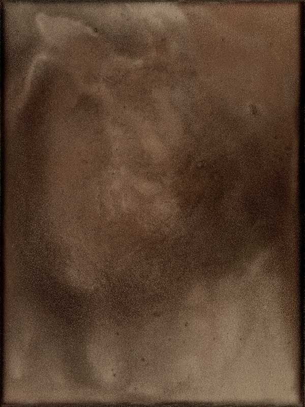 Earthy Canvas Art Print